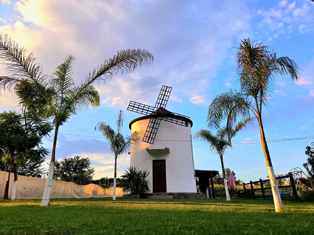 Molino de viento blanco rodeado de palmeras en Quinta María José